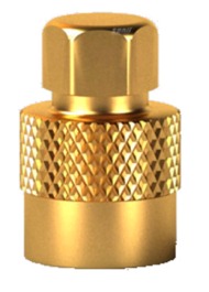 EARTHMOVER VALVE CAP HEX ( PACK 10 ) - Ranger Stork