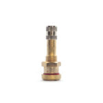 Tyre Valve Truck 9.7mm Short 41MM ( PK 10) - Ranger Stork